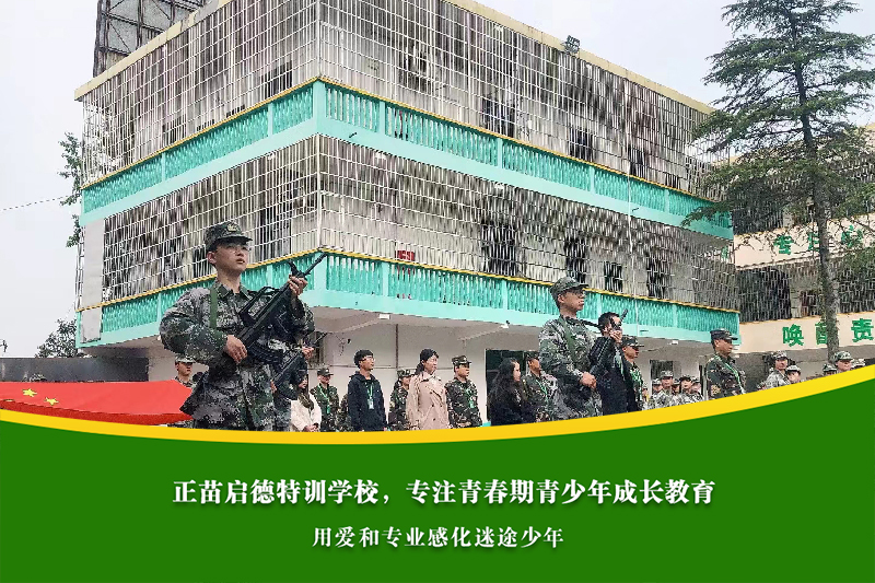临析军事化学校