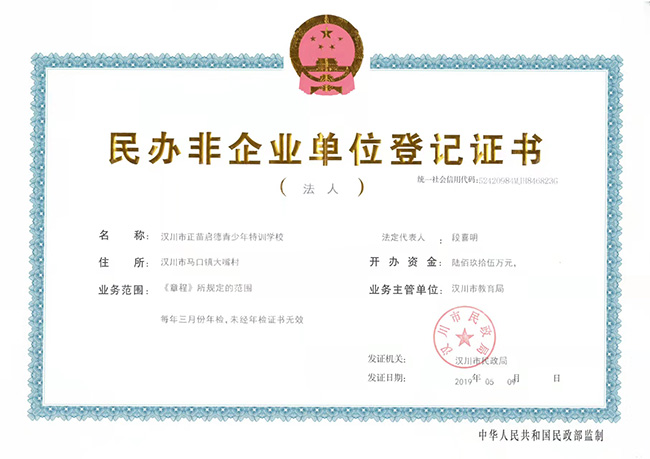 民办非企业单位登记证书