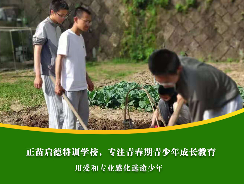 孩子沉迷网络游戏家长怎么办？