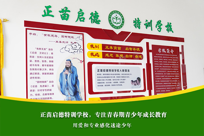 叛逆的孩子应该被送到专门的培训学校吗？